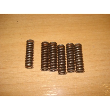 Juego 6 muelles embrague Cota 242-304-330-335