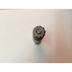 Reenvío rueda delantera Frontera y Alpina 10 dientes