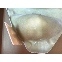 T. Lateral Super Pioneer, enduro Phantom 125 der.