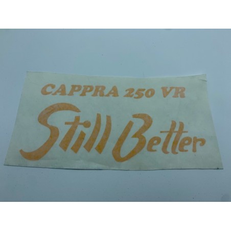 Adh. Cappra Still Better amarillo