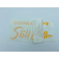 Adh. Cappra Still Better amarillo