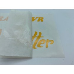 Adh. Cappra Still Better amarillo