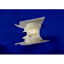 Carcasa Ossa Enduro E 73