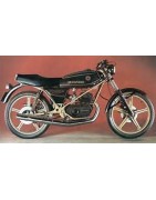 STREAKER 74-125 MOD. 179-204