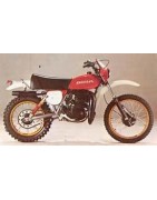 DESERT 250 '79 "FUEGO"