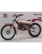 COTA 242